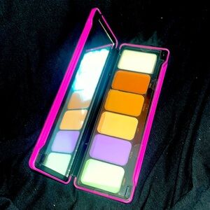Profusion Cosmetics Conceal Palette - Vibrant Pink
